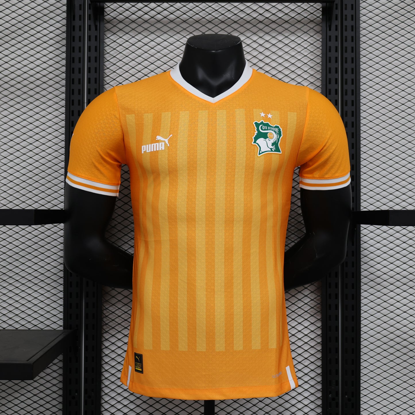 Maillot Côte d'Ivoire Domicile 2024/2025